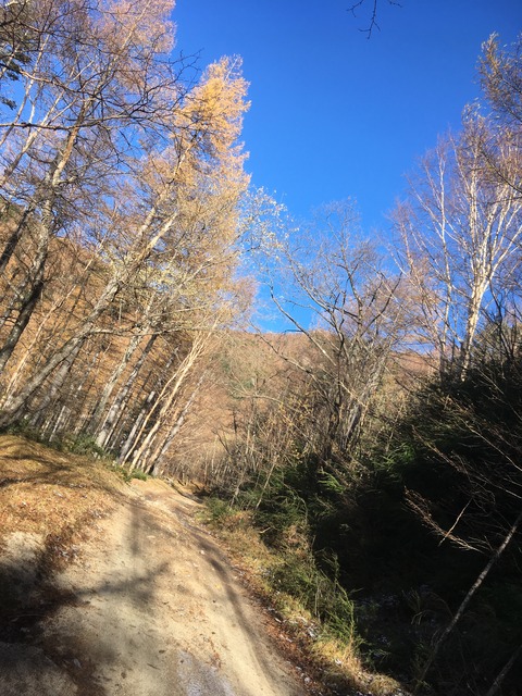 C9CAC17D-7987-42AF-8761-C7D6721936AF