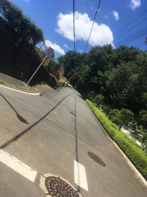 39F06448-52F4-4A47-86AA-A88B92AEFD95