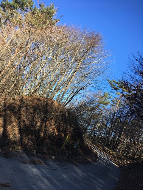 51B01482-43DD-4AD8-8DE0-D6DA6C2DB29F