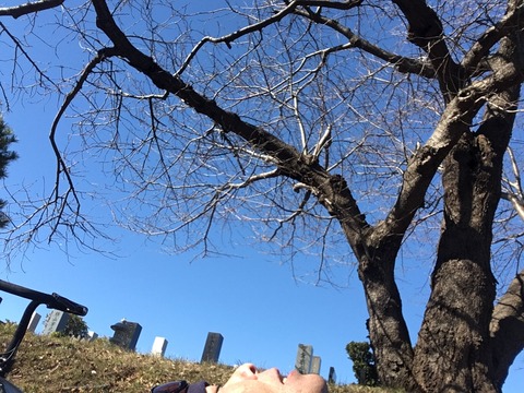 90B81891-6548-4384-96F9-7A61CE41564A