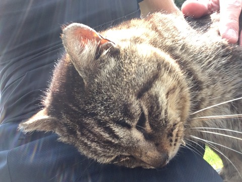 411259DB-4C7D-47F6-AD4B-03671AFD1546