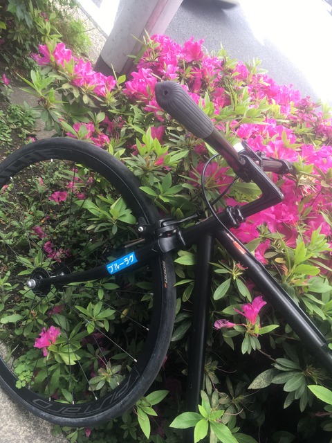 458A45C1-5783-4EFA-A47D-A42C50CA5E8A