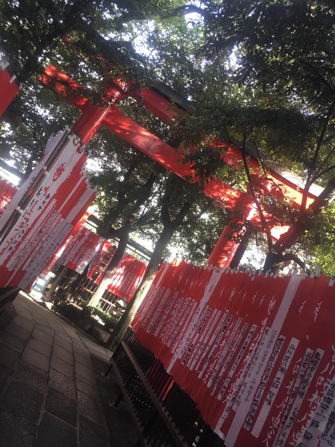 E5A5005C-BB10-454E-8A55-0910503BE317