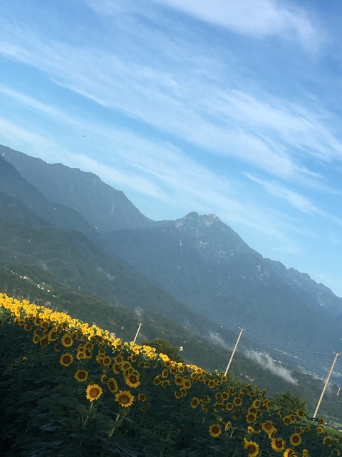 3BC879DD-7E77-4558-B7FE-6081707D5588