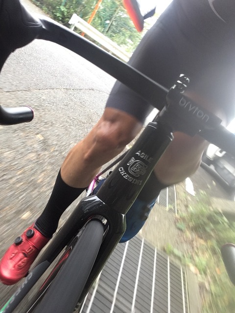 4D21C5BF-C84B-40D8-BA3B-6F2DB870DAE7