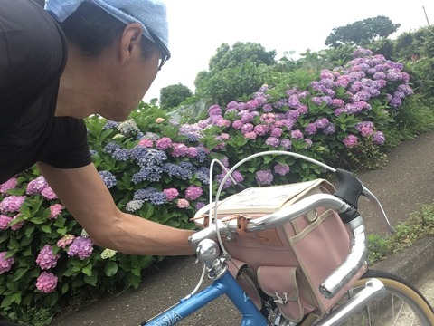 C4AE0C78-F94C-456C-B576-DE69974AD1B0