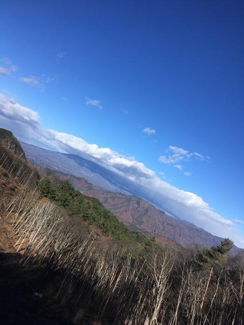 493BF5C9-DB65-4CDD-A664-81DFD4FC529B