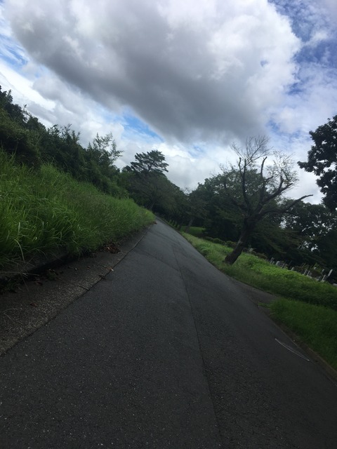 0319AD2A-6092-453B-AFFE-8F4D3450B724