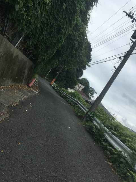 1FCA82A7-8D6F-4A1F-8622-FCDB57E00F0A