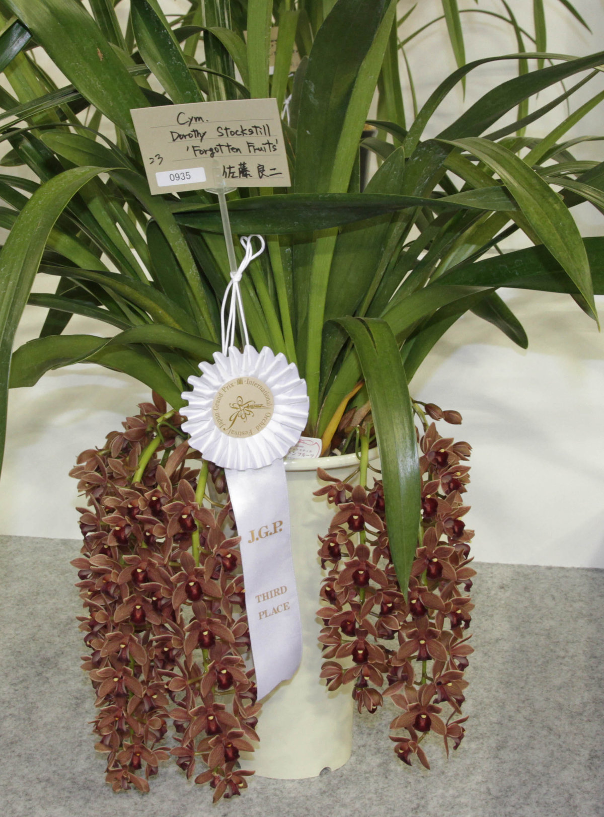 世界らん展日本大賞２０１６年・開会式ペア招待状・送料無料