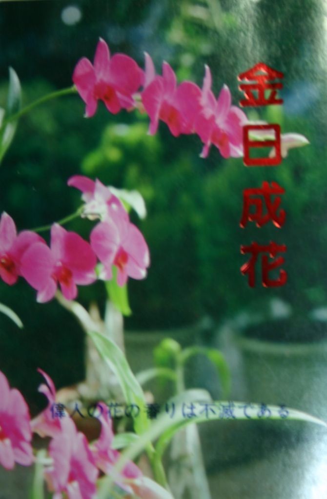 義ノ花成典