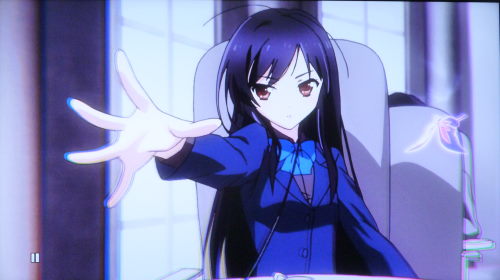 アクセル ワールド 1巻 感想 黒い毒の実