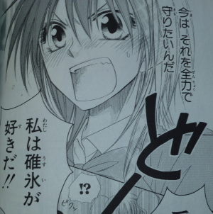 会長はメイド様14巻 感想 ネタばれ有り 黒い毒の実 会長はメイド様14巻 感想 ネタばれ有り 黒い毒の実