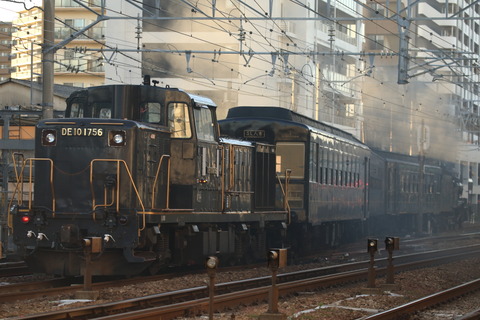 DPP4204