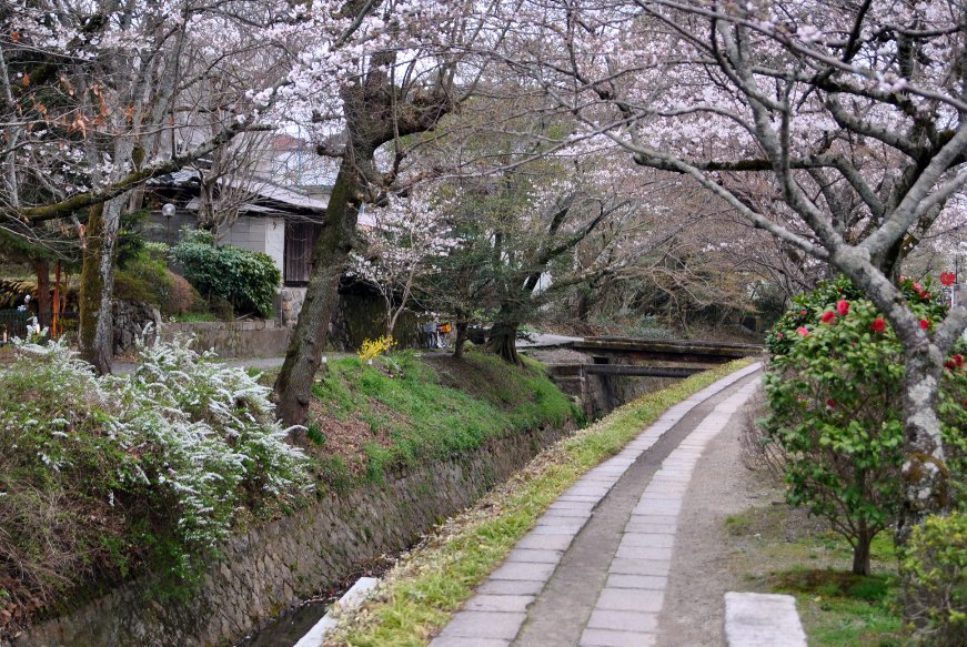 京都市バス観光 四条烏丸 哲学の道 京都市左京区 555