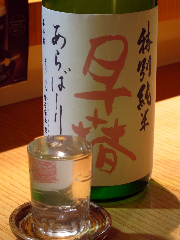 20130401_003