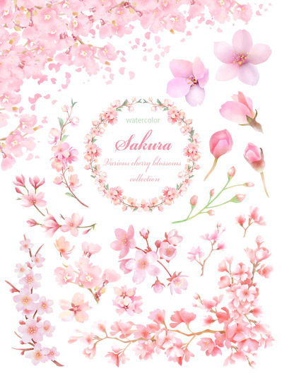 ̵ÎÁ¥¤¥é¥¹¥È¡¡SAKURA