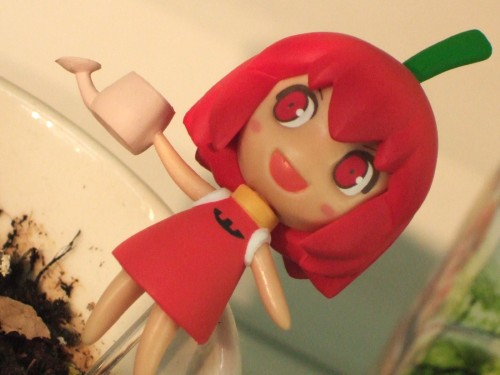 とらのあな1号店で ハバネロたん育成キット のサンプル展示 どのくらい辛いのこれ ウチの売り上げぐらい 萌えよ アキバ人ブログ