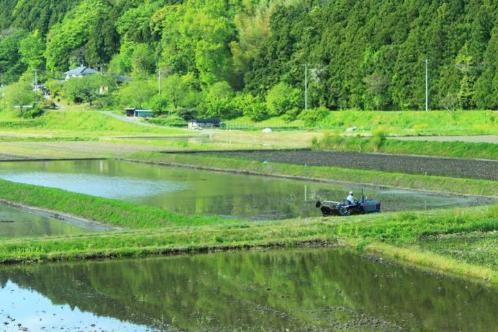 https://livedoor.blogimg.jp/affiri009-001/imgs/b/9/b92322c1.jpg