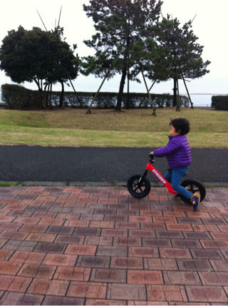https://livedoor.blogimg.jp/affiri009-001/imgs/c/d/cd8ded54.jpg