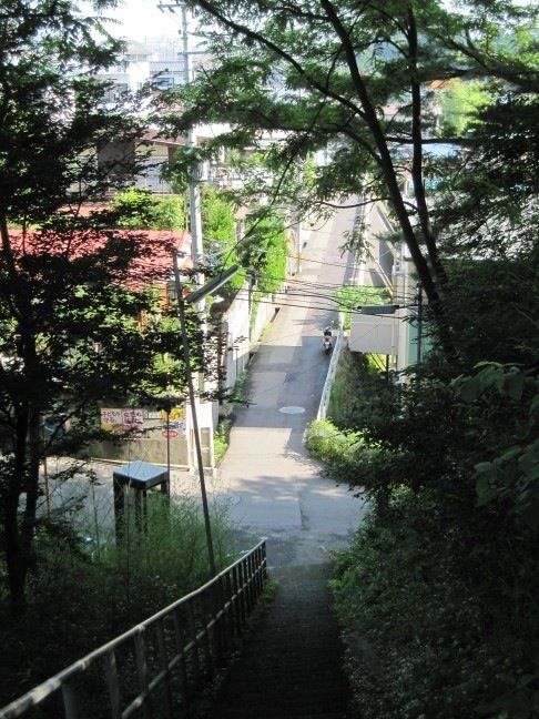 https://livedoor.blogimg.jp/affiri009-001/imgs/d/c/dc342c6f.jpg