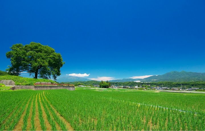 https://livedoor.blogimg.jp/affiri009-001/imgs/e/7/e7d841e3.jpg