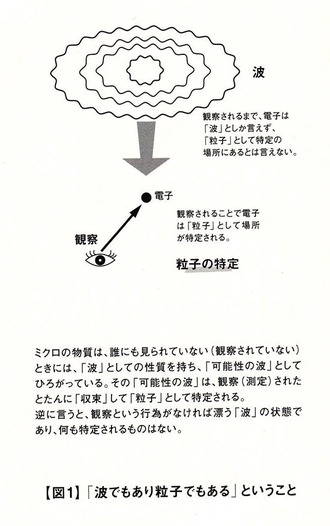 ゴスワミ量子図
