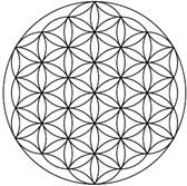 floweroflife1