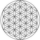 floweroflife1