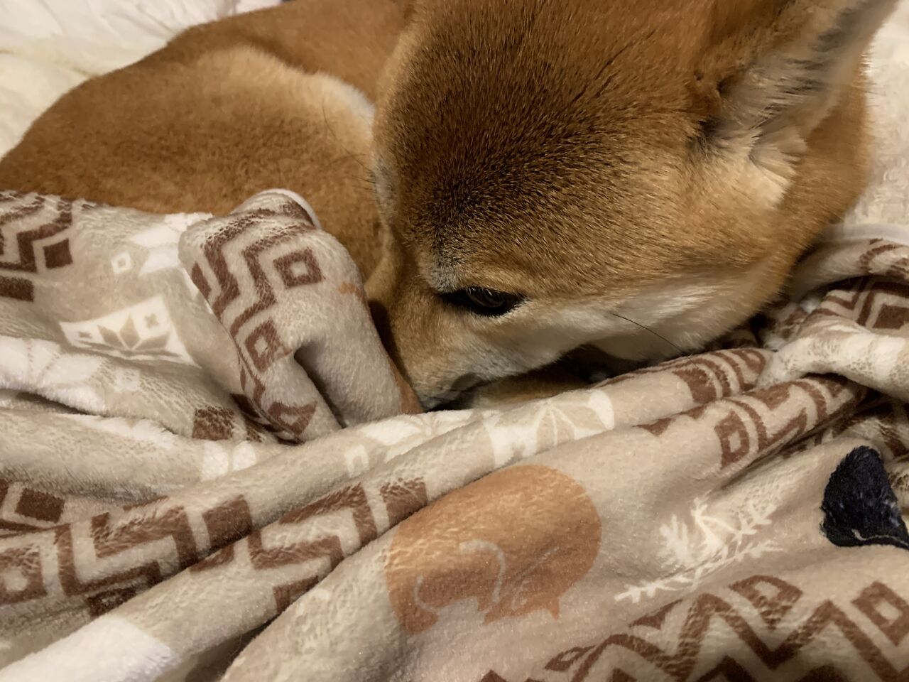 おはようございません Life With Ranran Lili おはようございません Life With Ranran Lili