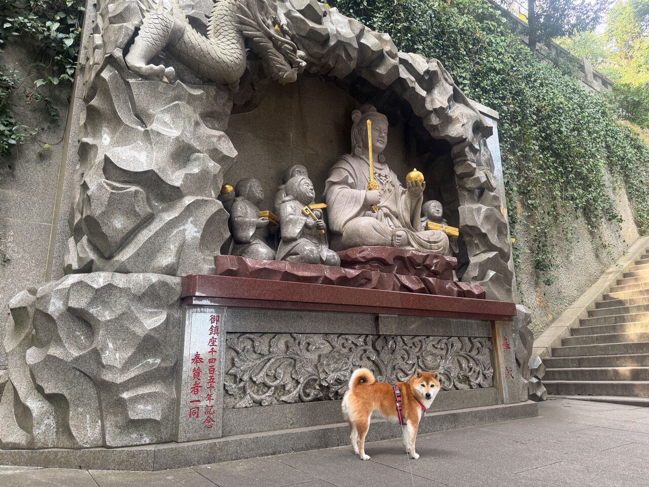 湘南散歩 Vol.1 江ノ島 : life with ranran & lili