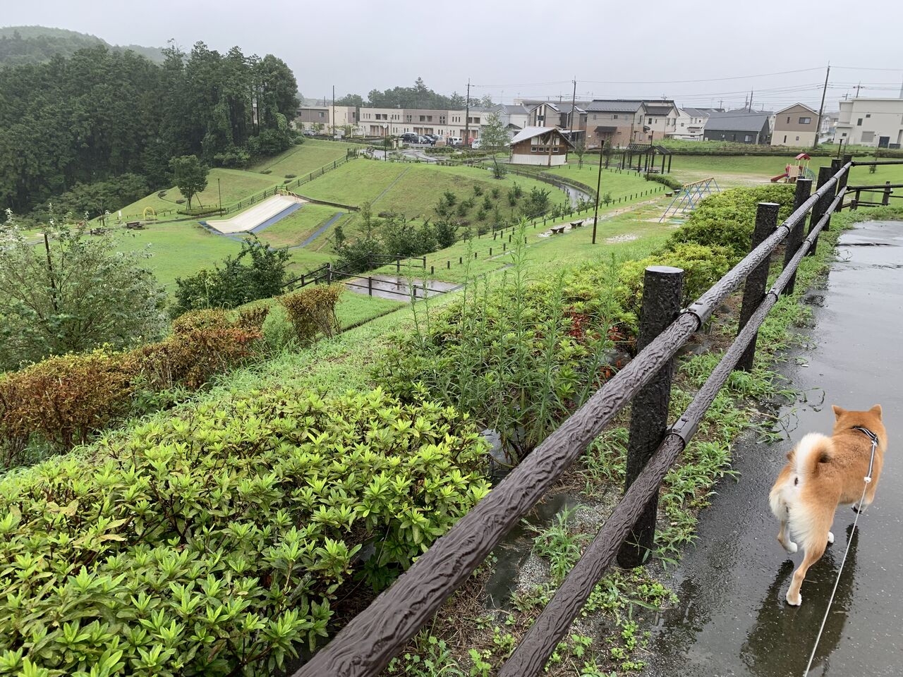 龍 崖山 公園