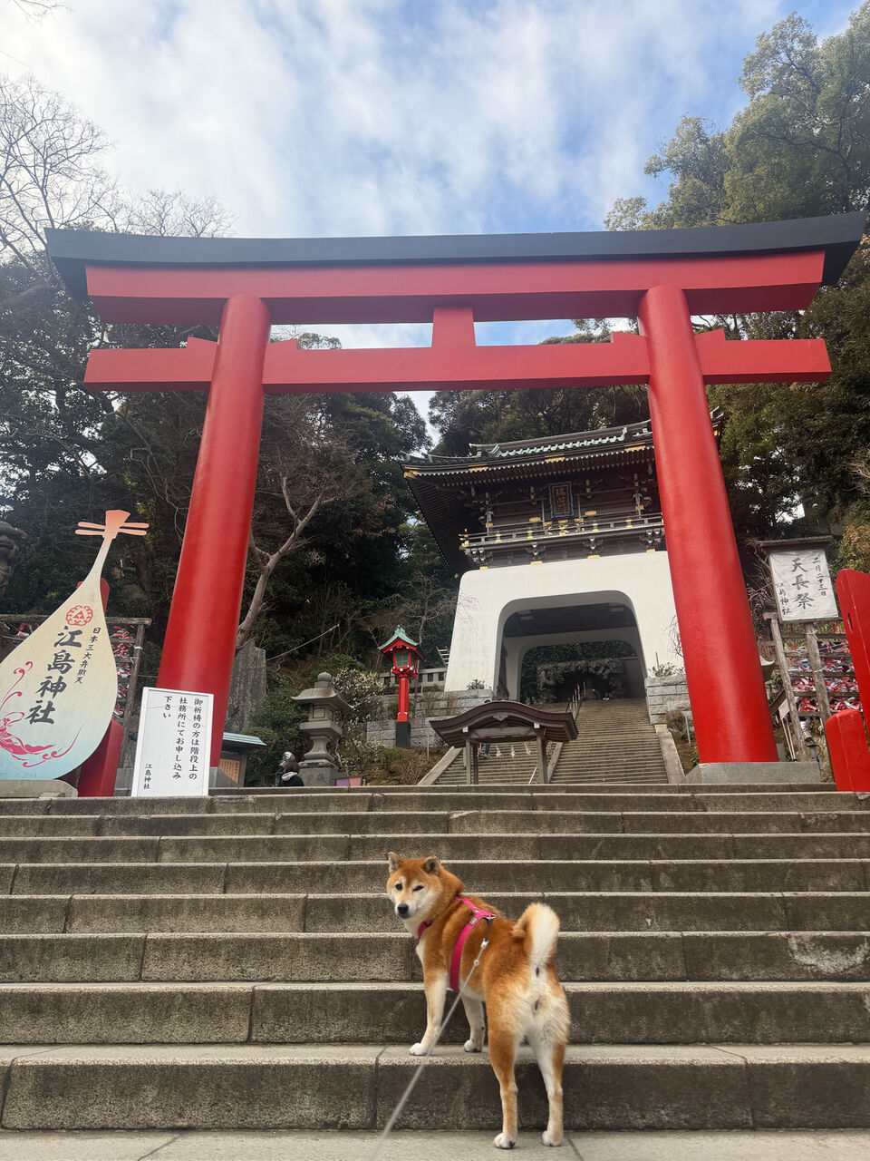 湘南散歩 Vol.1 江ノ島 : life with ranran & lili