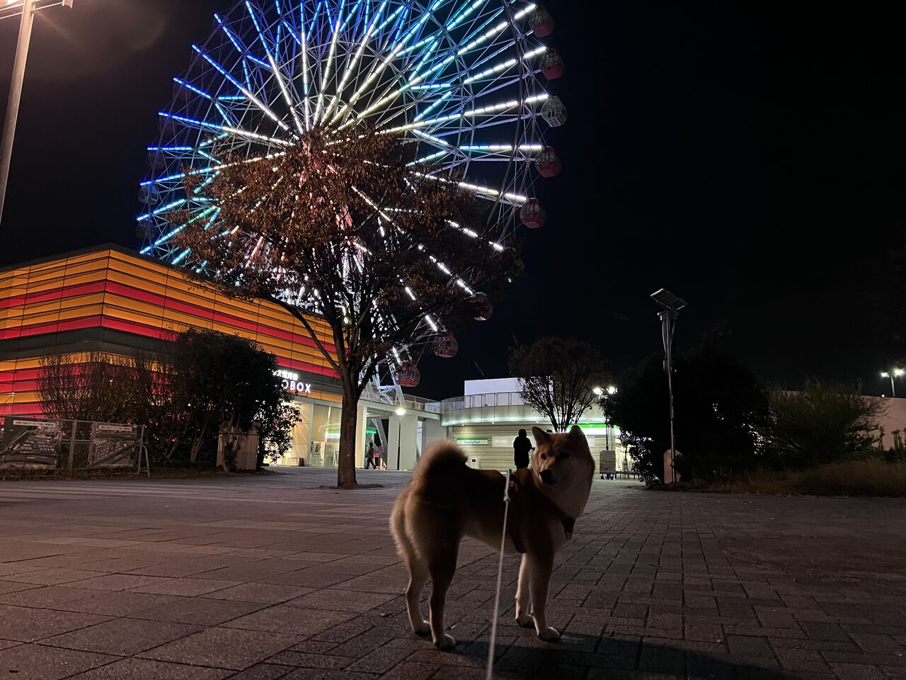 りりの里帰り21 Vol 5 モリコロパークと刈谷ハイウェイオアシス Life With Ranran Lili