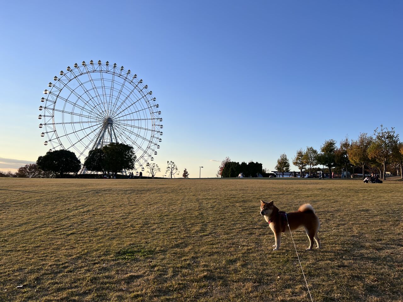 りりの里帰り21 Vol 5 モリコロパークと刈谷ハイウェイオアシス Life With Ranran Lili