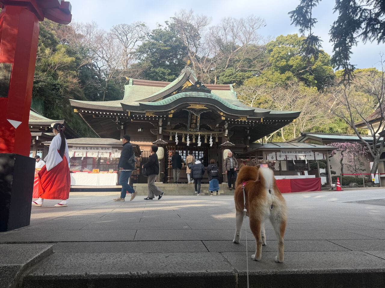 湘南散歩 Vol.1 江ノ島 : life with ranran & lili