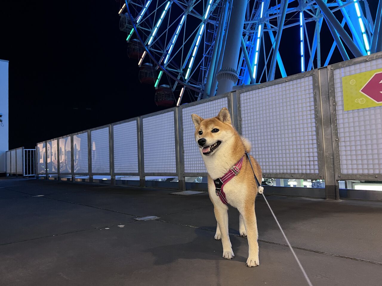 りりの里帰り21 Vol 5 モリコロパークと刈谷ハイウェイオアシス Life With Ranran Lili