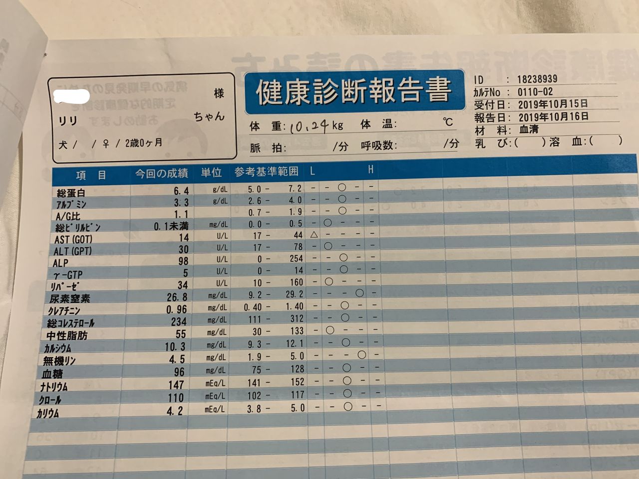 秋の血液検査 Life With Ranran Lili 秋の血液検査 Life With Ranran Lili