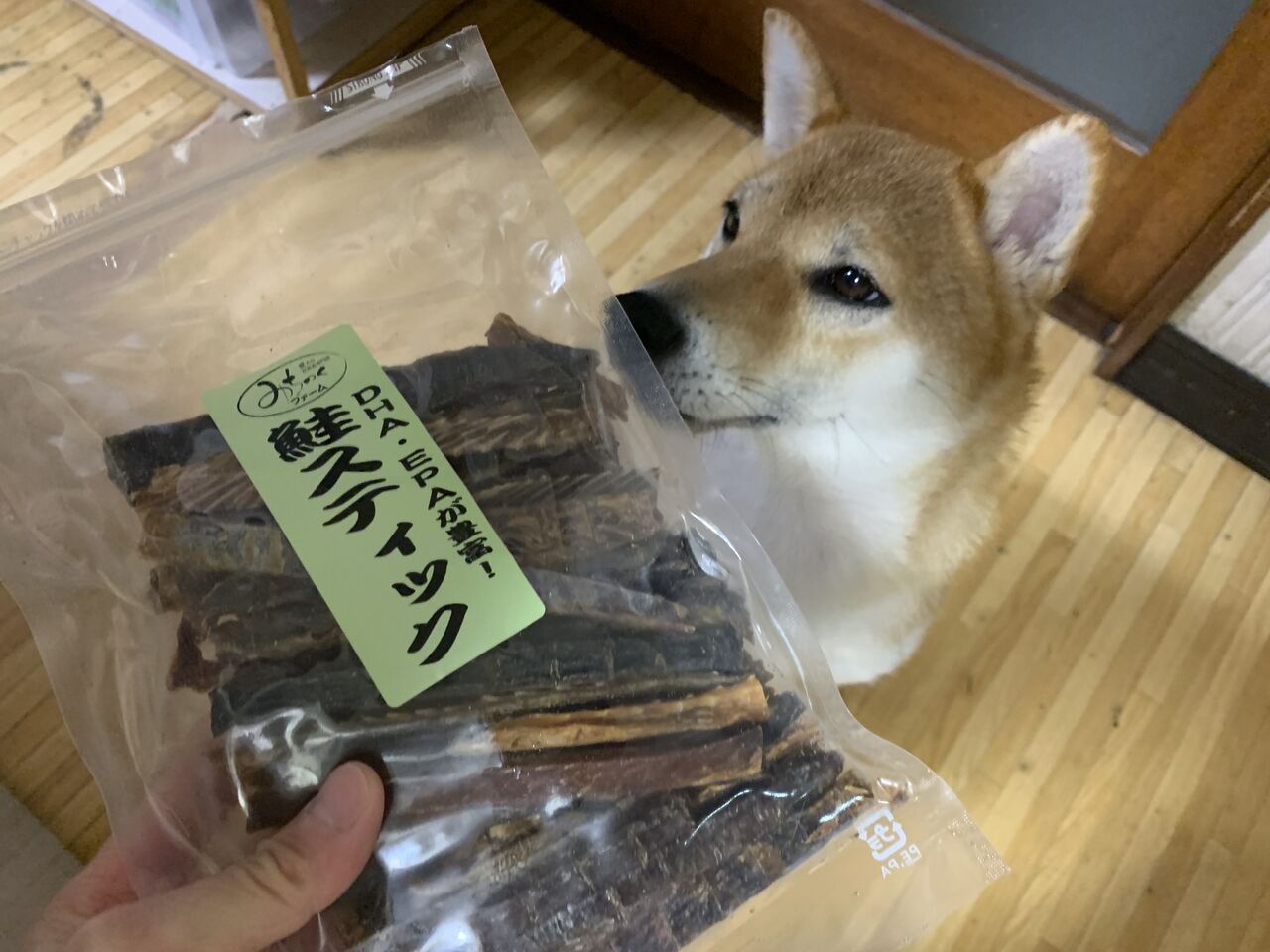 ハキハナのハーネス Life With Ranran Lili