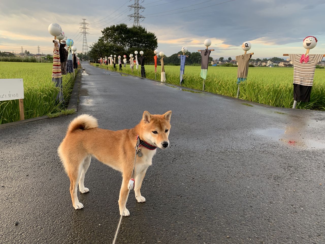 シミと湿疹 Life With Ranran Lili