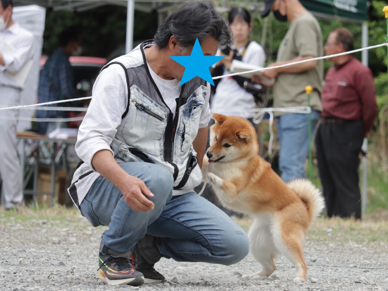 日本犬保存会展覧会 令和6年春季 関東連合展（神奈川） Vol.5 小型雌