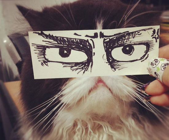 cat-eyes__605