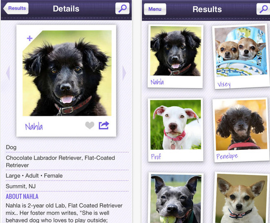 petfinder