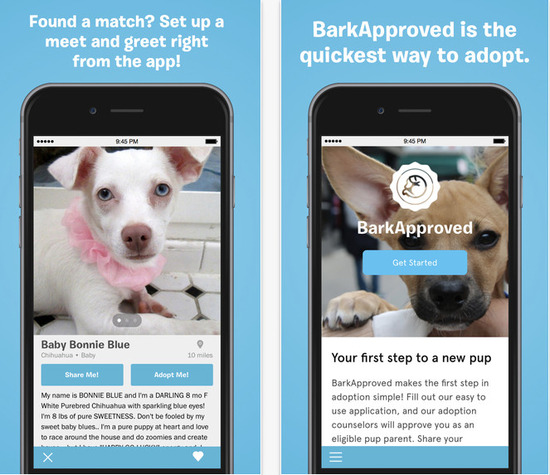 barkbud