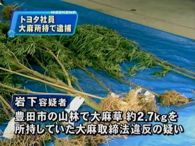 違法 ケシの除去進む 佐賀 アフィチル速報 ちる速