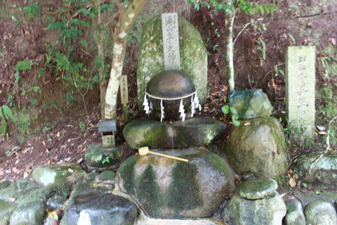 2e7f859f.jpg