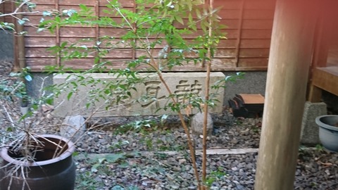 3d8d9727.jpg