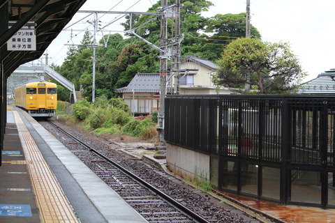 693e7515.jpg