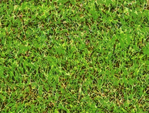 digital-grass002