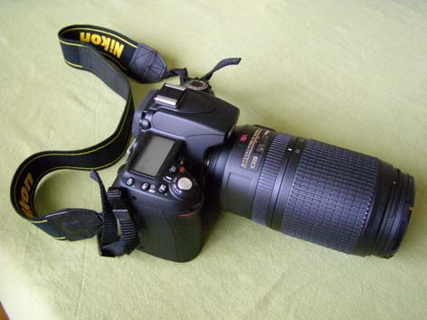 P7020006